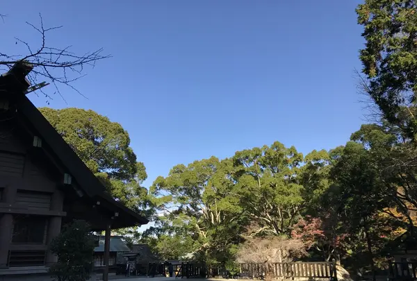 安房神社の写真・動画_image_107002