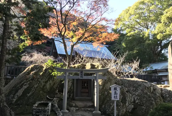 安房神社の写真・動画_image_107003