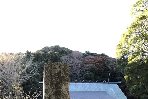 安房神社の写真・動画_image_107004