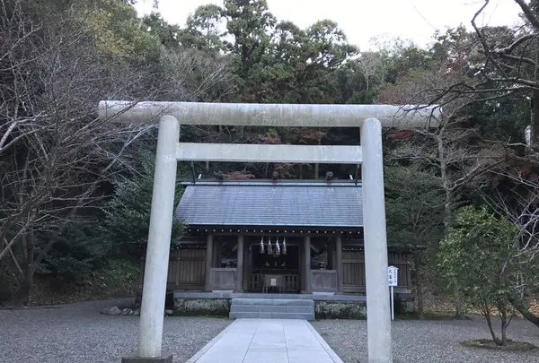 安房神社の写真・動画_image_107005