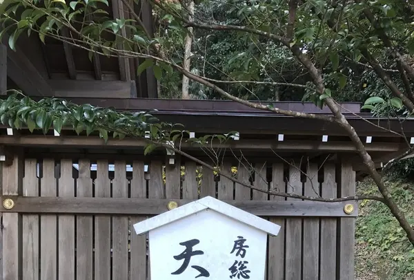 安房神社の写真・動画_image_107006