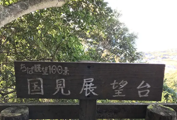 安房神社の写真・動画_image_107009