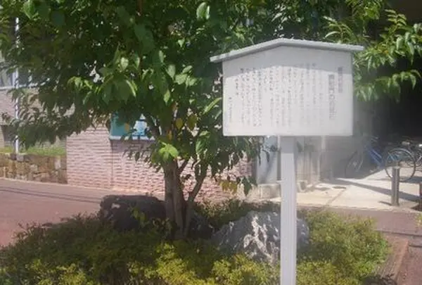 高槻城跡公園の写真・動画_image_107096