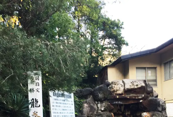 別府地獄めぐりの写真・動画_image_107101