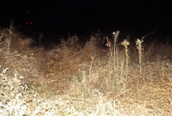 幽霊屋敷の写真・動画_image_107180