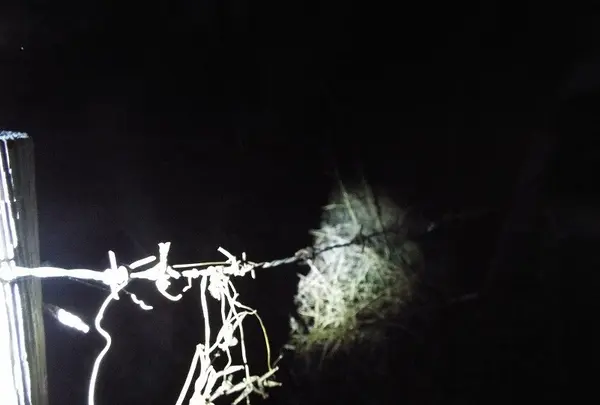 幽霊屋敷の写真・動画_image_107181