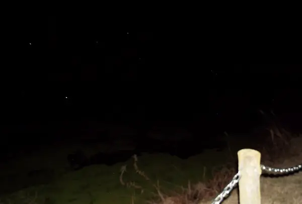 佐倉城址公園の写真・動画_image_107184