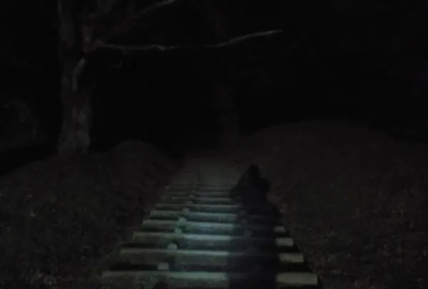 佐倉城址公園の写真・動画_image_107188