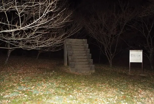 佐倉城址公園の写真・動画_image_107189