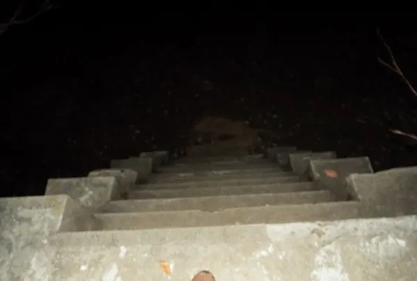佐倉城址公園の写真・動画_image_107192