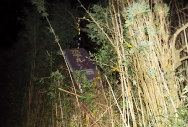 ホテル江戸城の写真・動画_image_107196