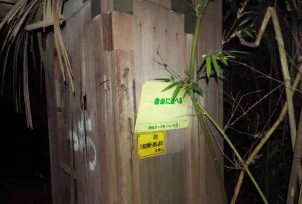 ホテル江戸城の写真・動画_image_107198