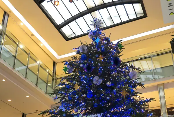 ラシックの写真・動画_image_107373