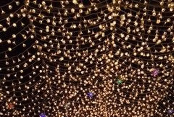 なばなの里の写真・動画_image_107419