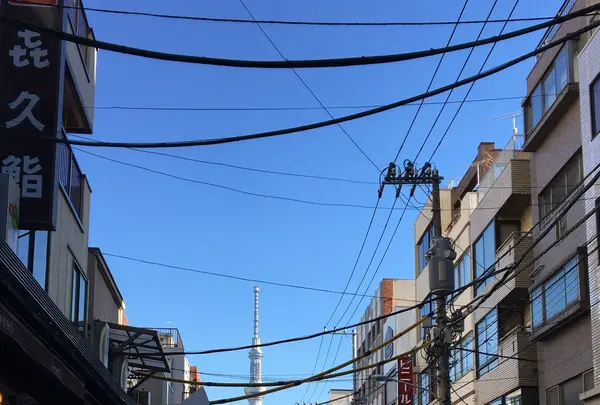 隅田川の写真・動画_image_107480