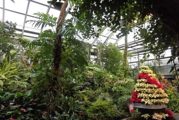 神戸市立須磨離宮公園の写真・動画_image_107494