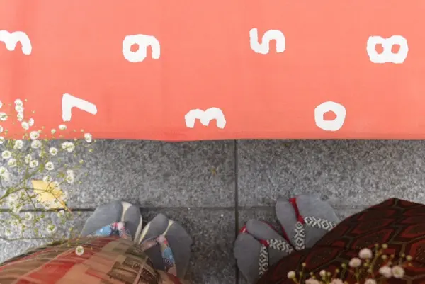 SOU•SOU 足袋の写真・動画_image_107702