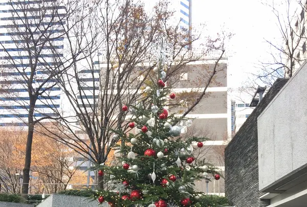 新宿野村ビルの写真・動画_image_107718