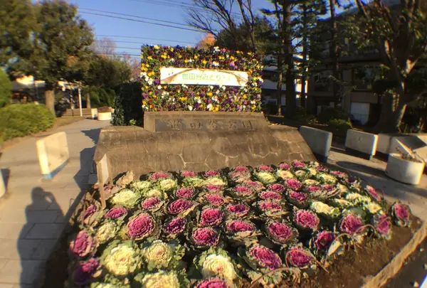 世田谷公園の写真・動画_image_107741