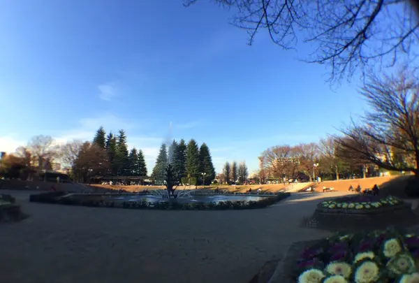 世田谷公園の写真・動画_image_107767