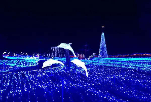 京都イルミエールの写真・動画_image_107783