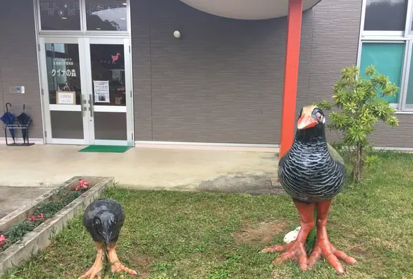 やヤンバルクイナ生態展示学習施設の写真・動画_image_107828