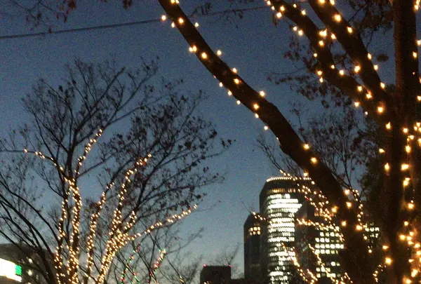 大阪市役所（ 大阪市役所本庁舎）の写真・動画_image_107830