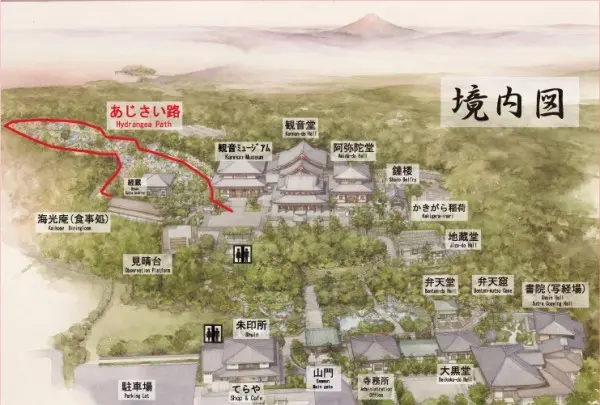 長谷寺の写真・動画_image_108076