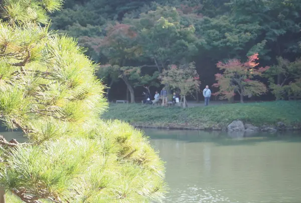 小石川後楽園の写真・動画_image_108096