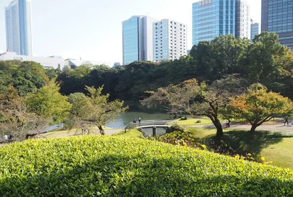 小石川後楽園の写真・動画_image_108097