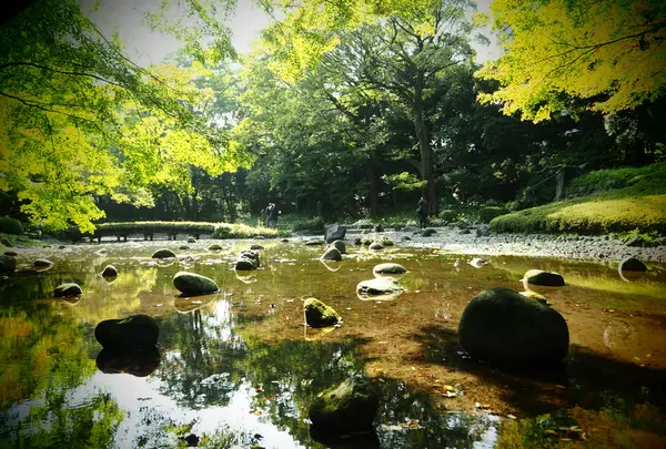 小石川後楽園の写真・動画_image_108098