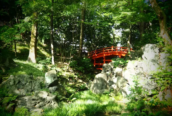 小石川後楽園の写真・動画_image_108099