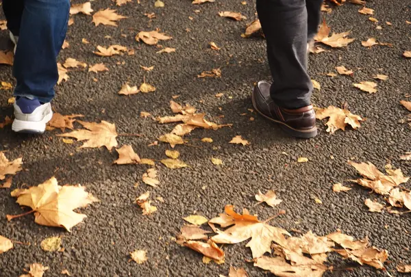 都立林試の森公園の写真・動画_image_108109