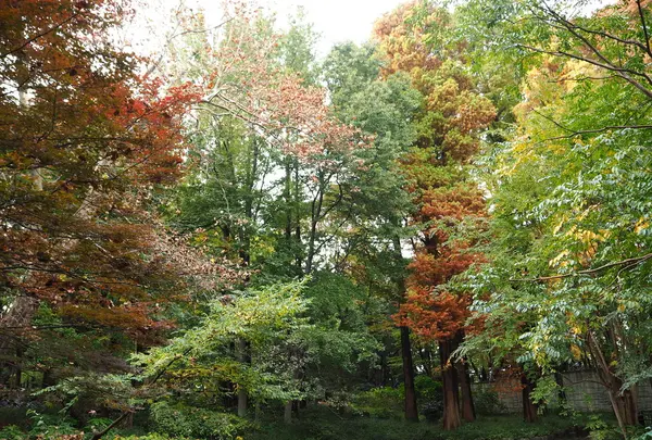 都立林試の森公園の写真・動画_image_108115