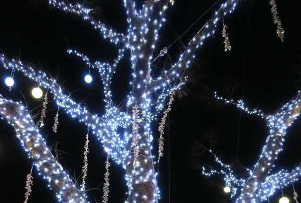 池田公園の写真・動画_image_108165