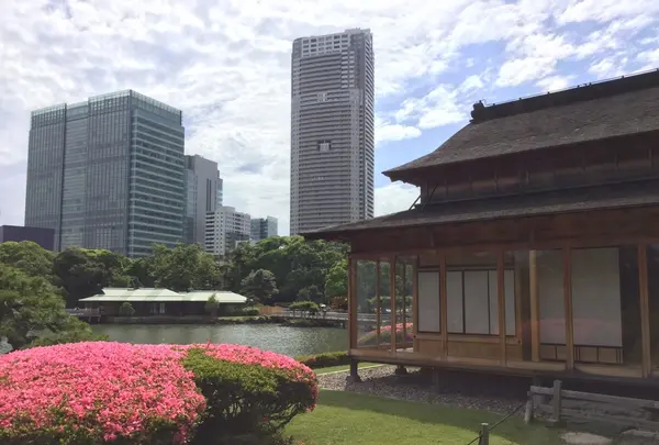 浜離宮恩賜庭園の写真・動画_image_108198