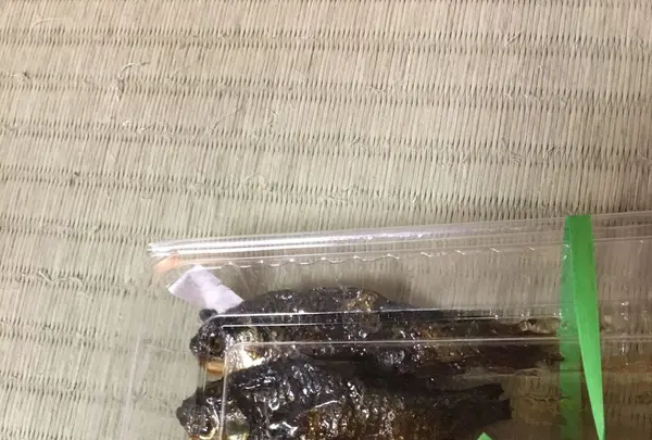 伊豆沼の写真・動画_image_108222