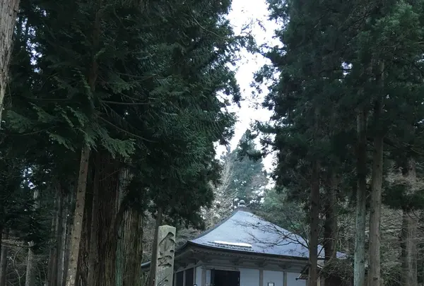 中尊寺の写真・動画_image_108280