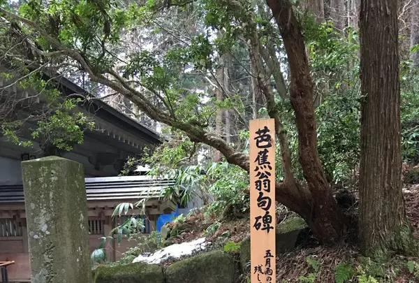 中尊寺の写真・動画_image_108281