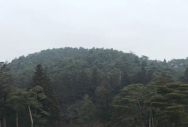 毛越寺の写真・動画_image_108283