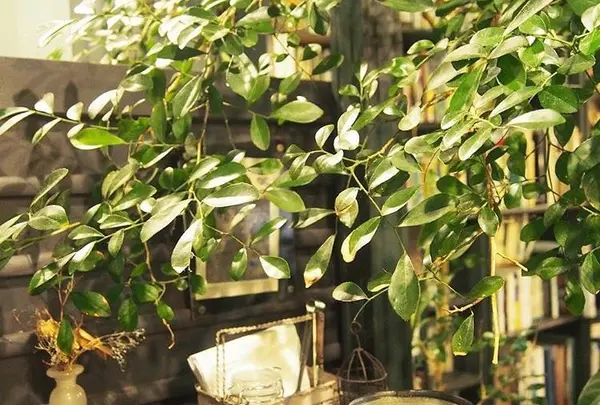 アール座読書館の写真・動画_image_108302