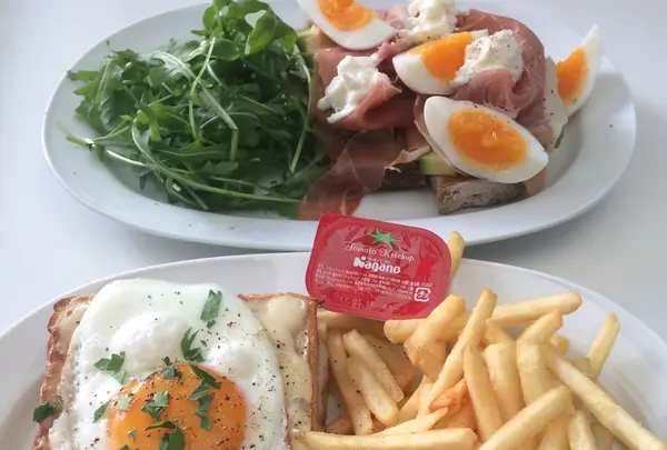 crisscross （クリスクロス）の写真・動画_image_108509