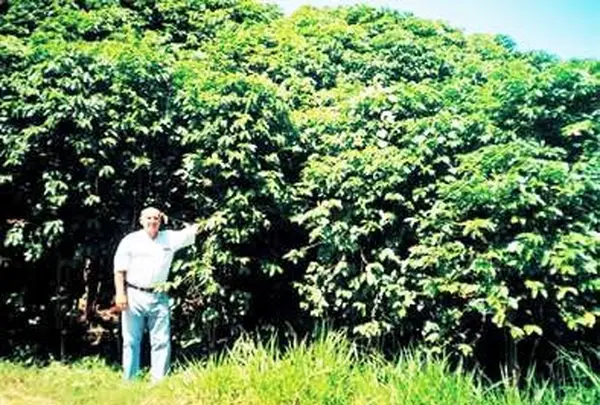 サクラカフェ池袋の写真・動画_image_108515