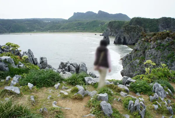 辺戸岬の写真・動画_image_108581
