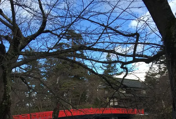 弘前城の写真・動画_image_108601