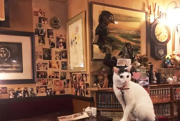 カフェアルルの写真・動画_image_108619