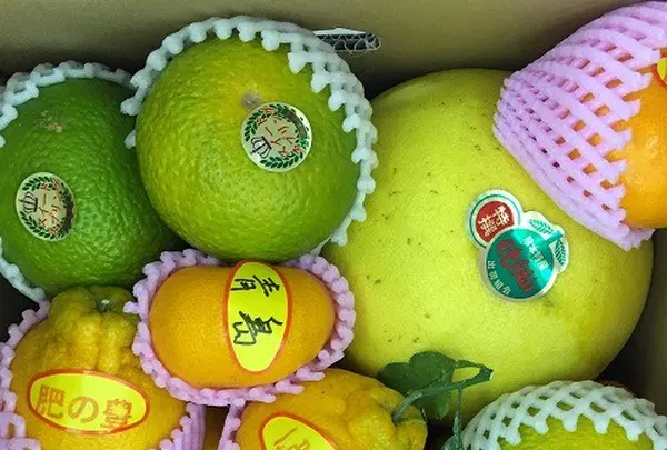 道の駅「不知火」の写真・動画_image_108655