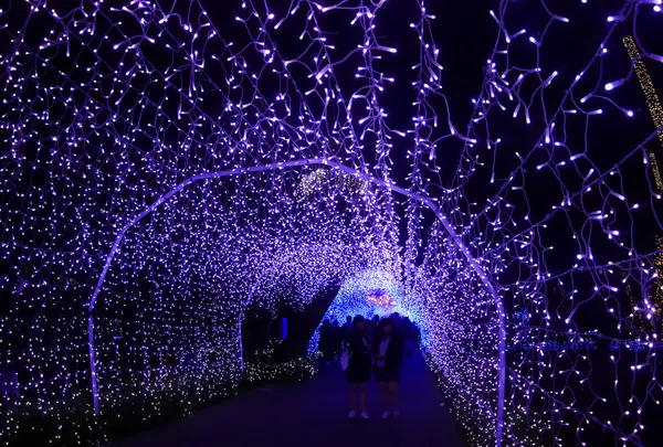 江の島サムエル・コッキング苑の写真・動画_image_108761