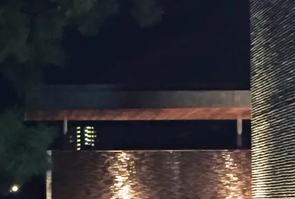 ロイヤル ガーデン カフェ 大濠公園の写真・動画_image_108825