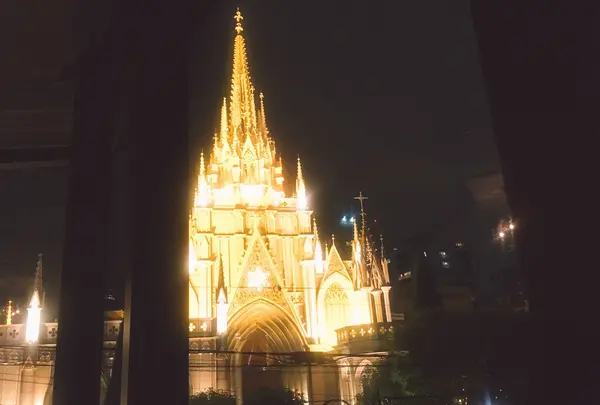 VINO BUONOの写真・動画_image_108959